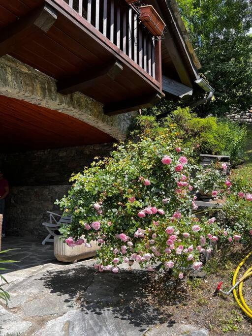 Chalet Cheverel Remondey Eksteriør bilde